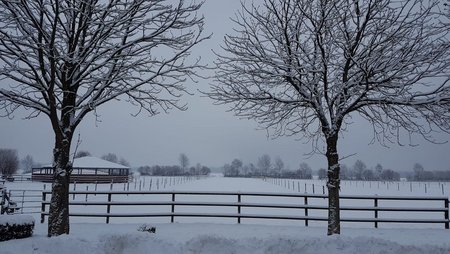 Winterimpressionen: Ein Blick über die Wiesen